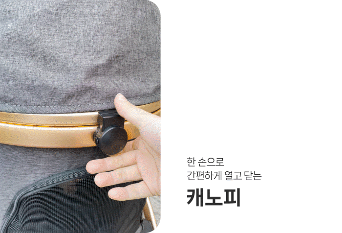 cf841d20-0880-42fc-a9d7-6d157762d8c2 이미지