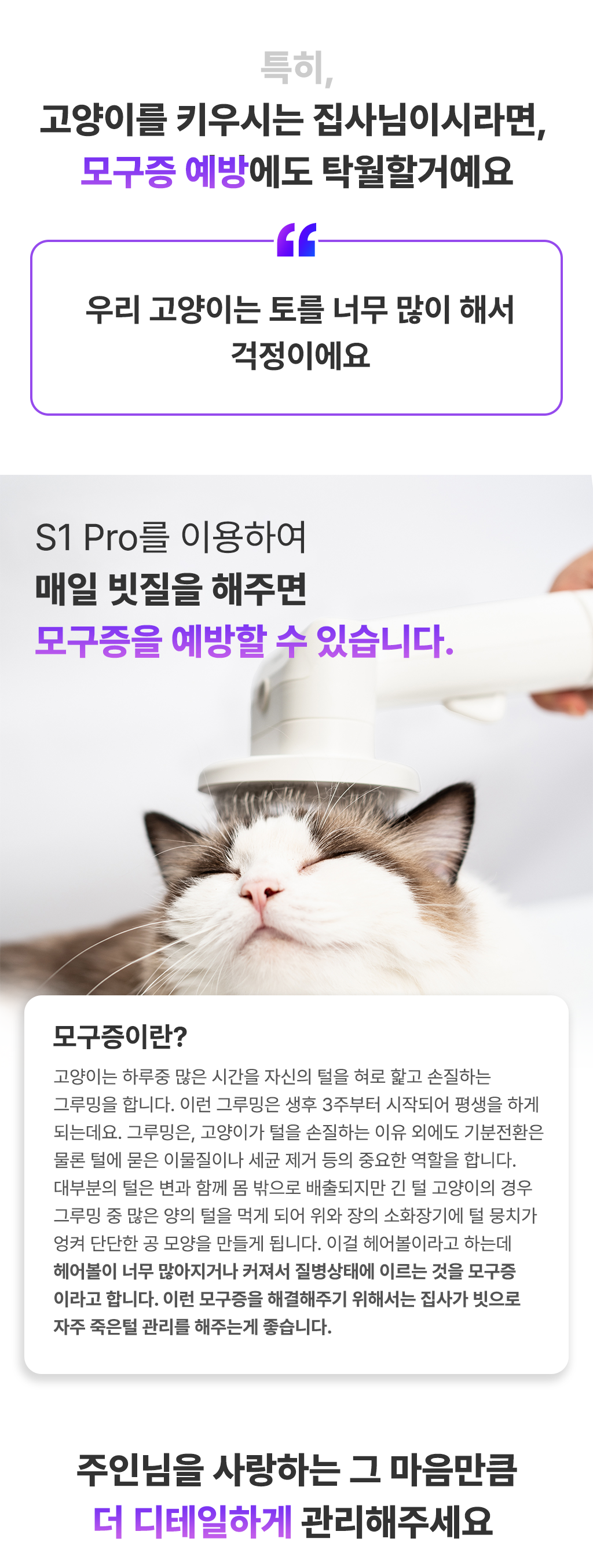 e4acca69-ac88-4754-b8b3-00df48fcf45e 이미지