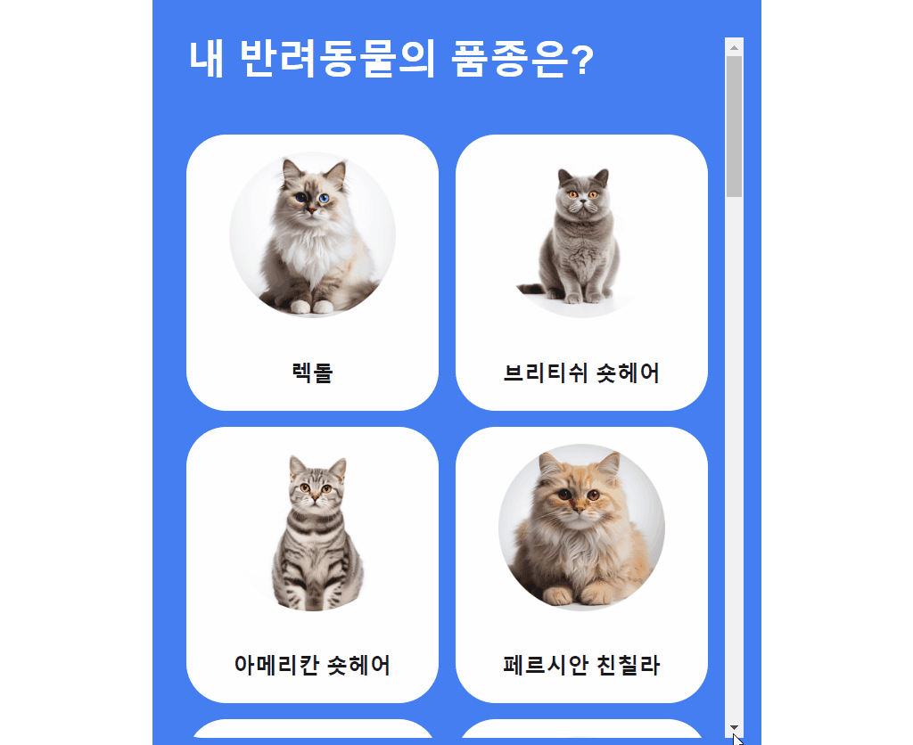 60fad4d8-0193-4c26-902a-d7884c6aabdb 이미지