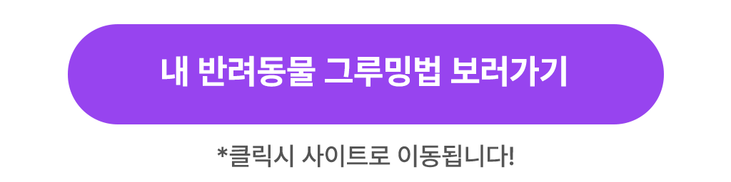 b3018b9a-7053-46a1-823b-f5de255b2c36 이미지