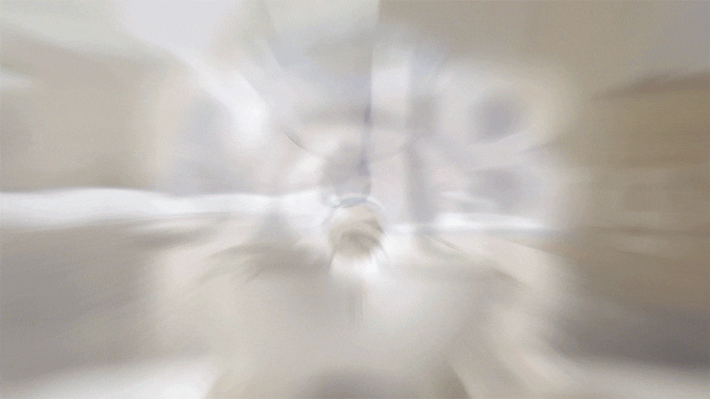 d0582a3c-632e-4c5a-8bde-55eda2acebda 이미지