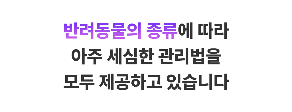 beae75e0-6af1-432e-81a1-516243d8da9e 이미지