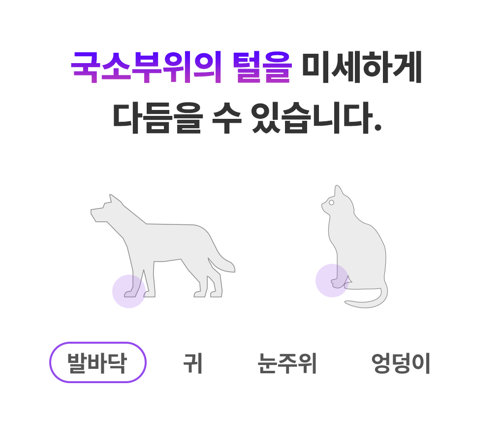 e9a7db56-8b5d-47b5-b7c7-d9d516e7497e 이미지