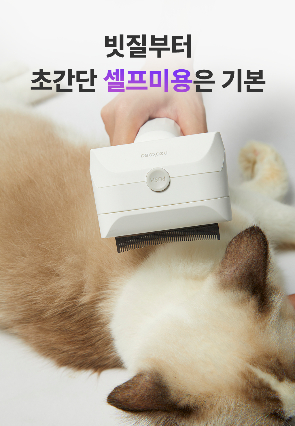 b399254f-3e35-4fc8-b86b-c0c719bd1c43 이미지