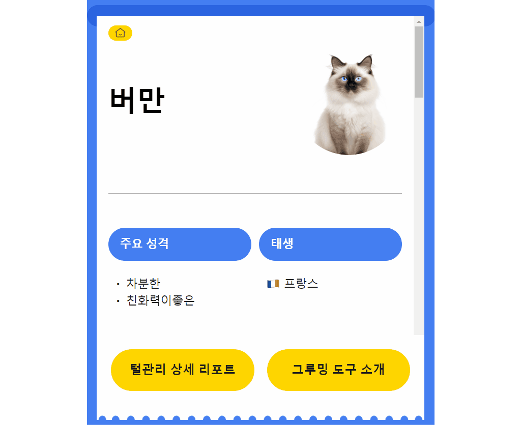 2e337bfb-ba92-4737-b7b8-4ec70aa8a723 이미지