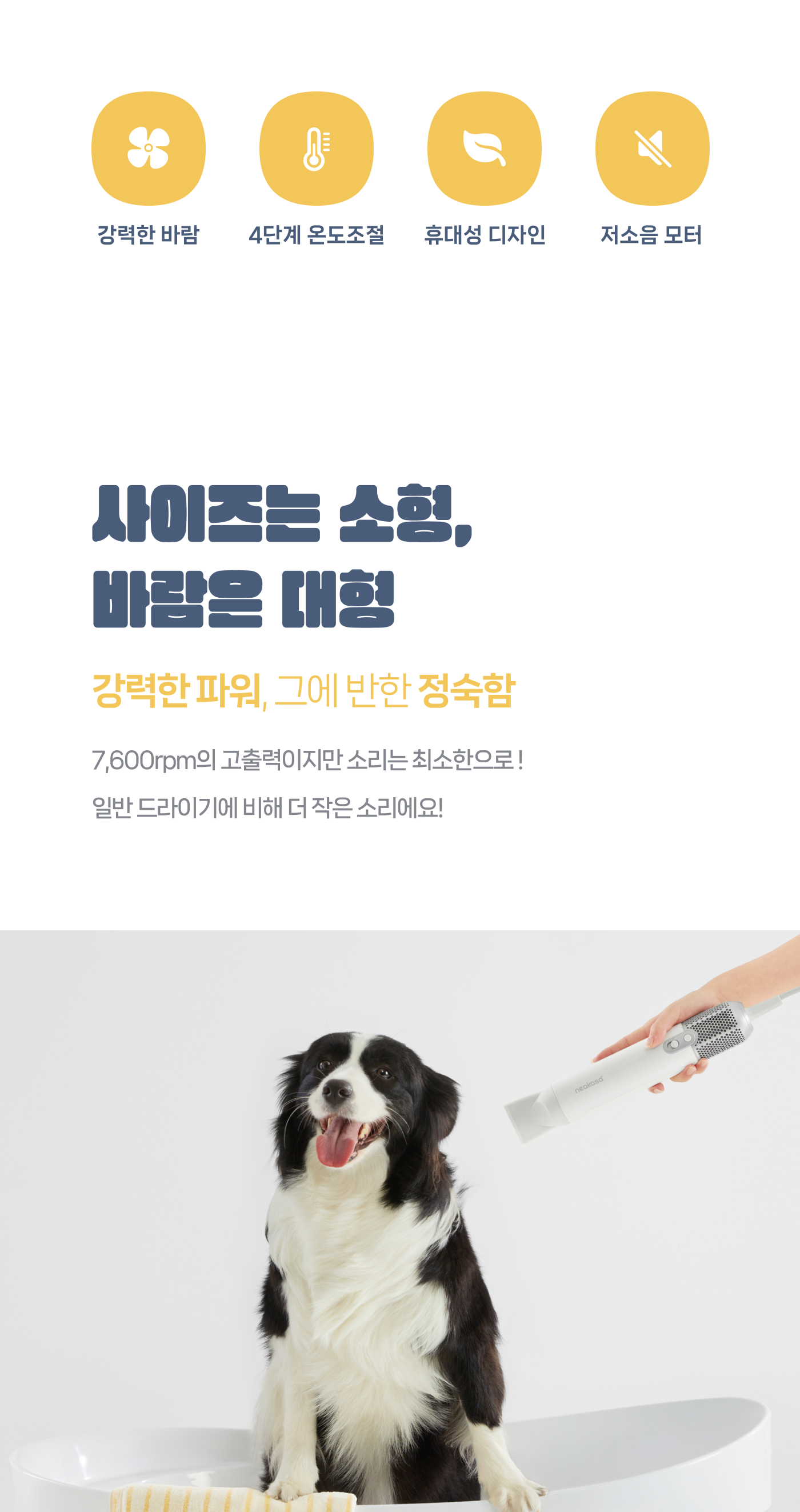 6fb25d96-6ea9-4185-9d4a-80a29ecde9d9 이미지