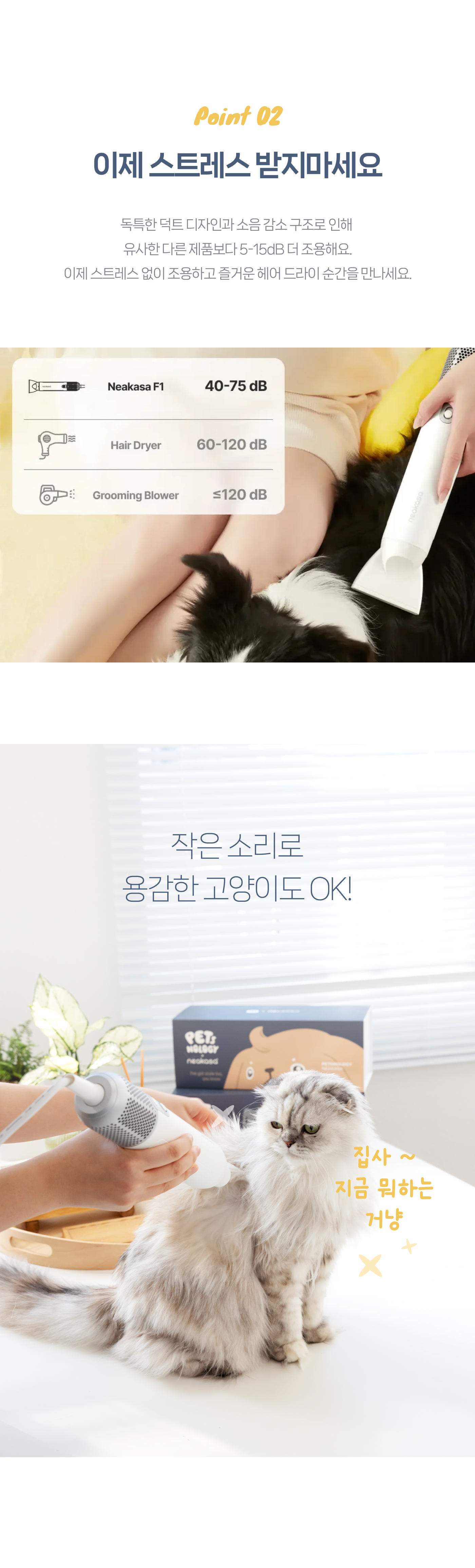 6dec0c00-c773-4523-9ccd-a38e719efe2a 이미지