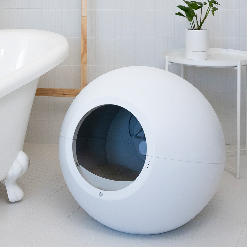 더 편리한 반려생활, 펫츠놀로지