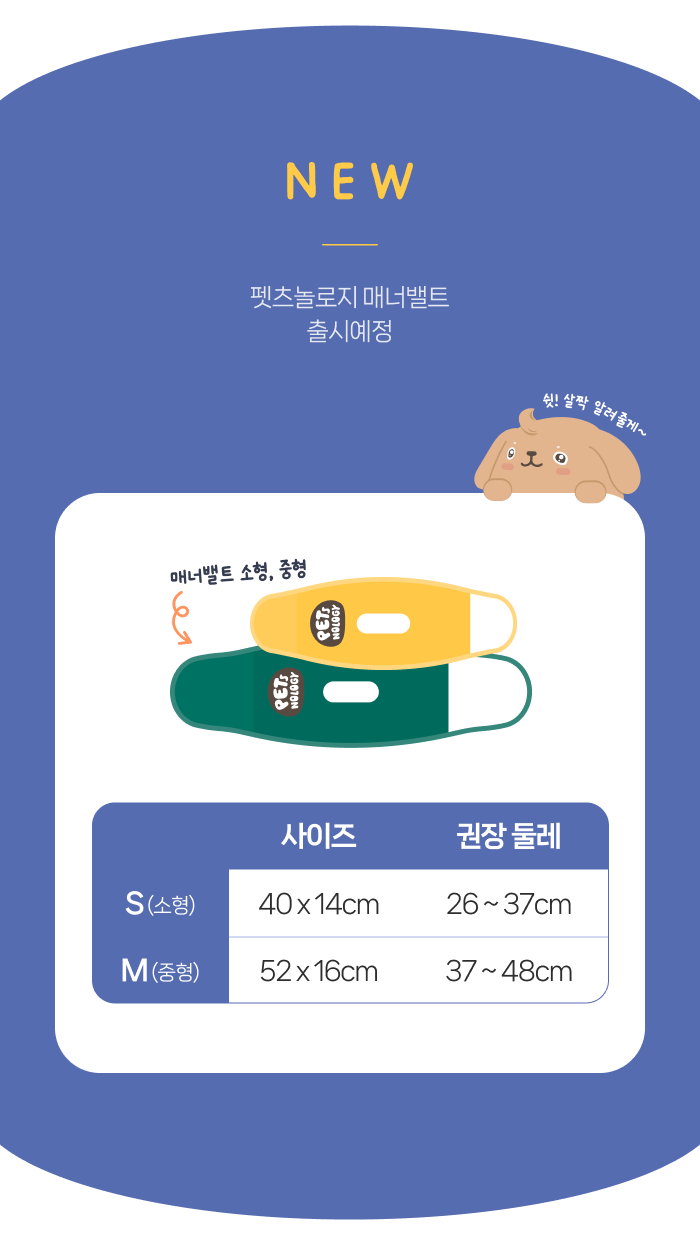 c410fd7d-6cc7-4c48-94ff-f72dfbf59129 이미지